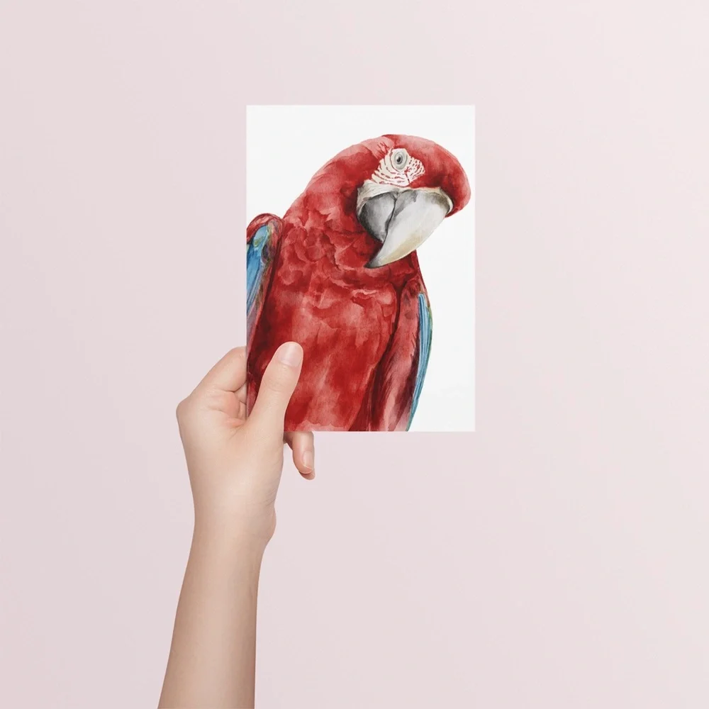 Red Macaw Parrot Watercolor Wall Art Print Poster Unframed - Picture 7 of 9